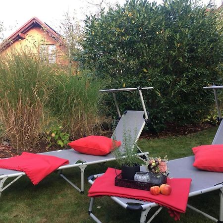 Gaestezimmer Hortensie Weil der Stadt Kültér fotó